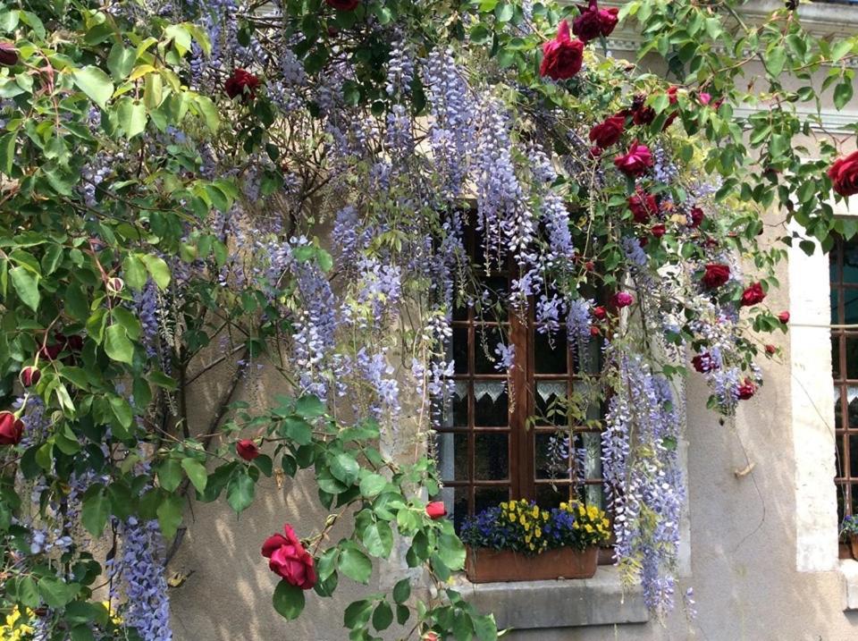 Villiers-sur-Loir Cote Jardin Bed & Breakfast エクステリア 写真